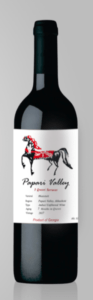 2017 papari valley rkatsiteli qvevri 21