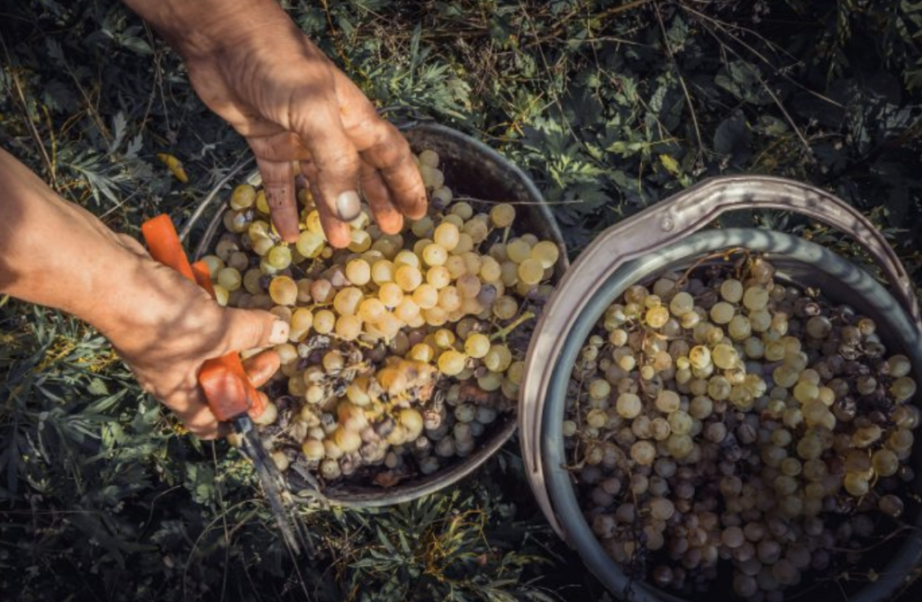 Screen Shot 2021 07 06 at 9.07.09 PM