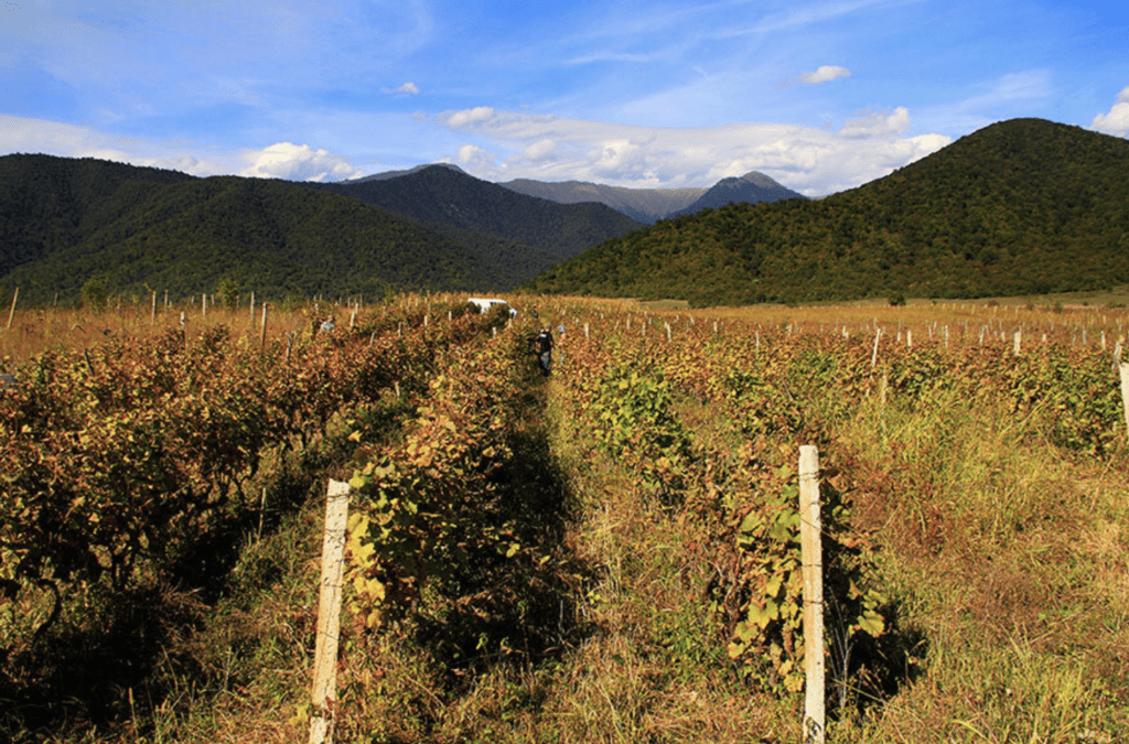 Screen Shot 2021 04 19 at 3.40.44 PM