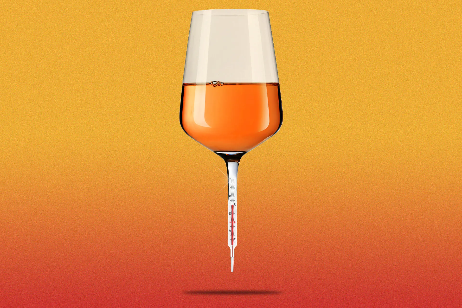 02 23 the bitter truth about orange wine hero gettyimages 510241414 597635946 1920x1280