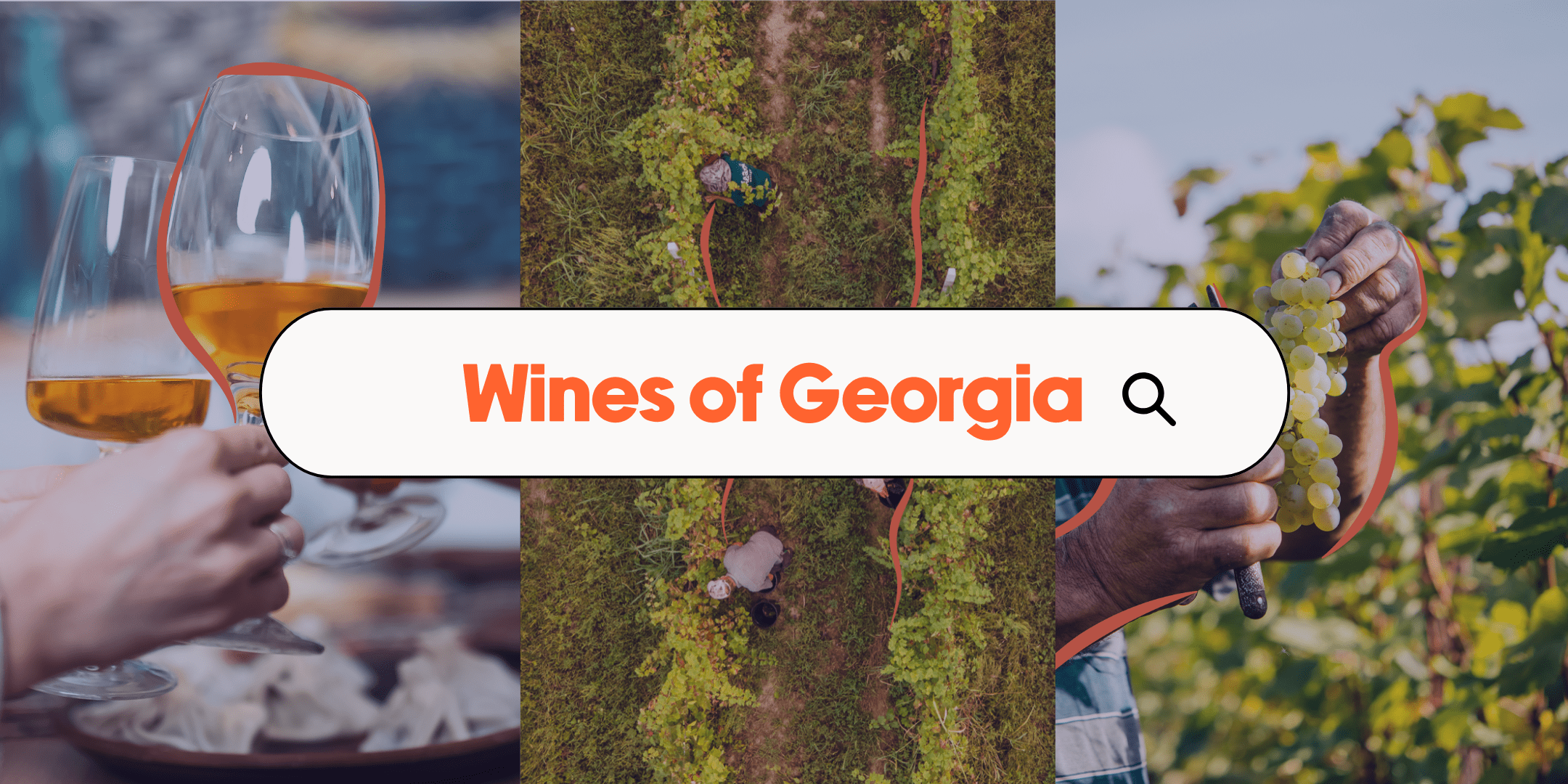 Wines of Georgia