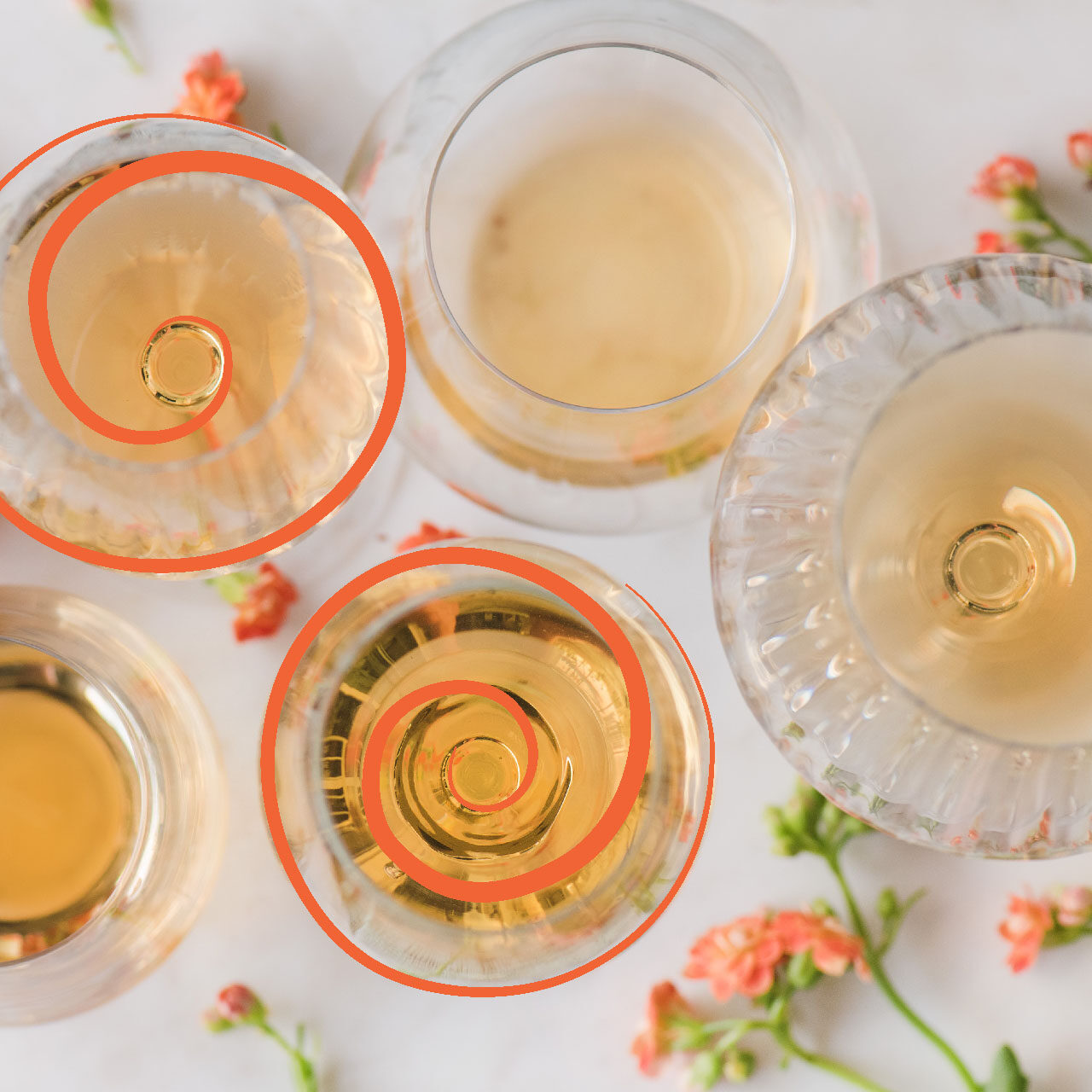 White-wine-glasses-top-view White Wine Glasses Top View